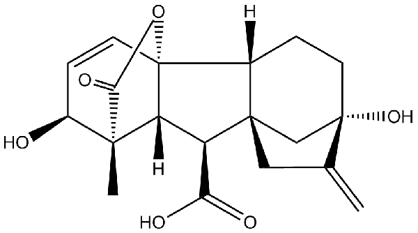 赤霉素GIBBERELLIC ACID，居然有這么神奇？